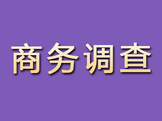 闽侯商务调查